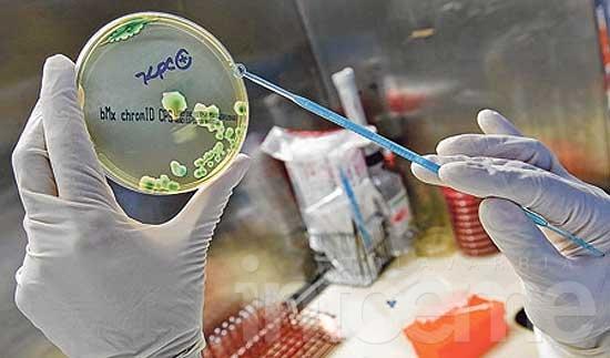 KPC, la bacteria multiresistente que amenaza con una emergencia sanitaria