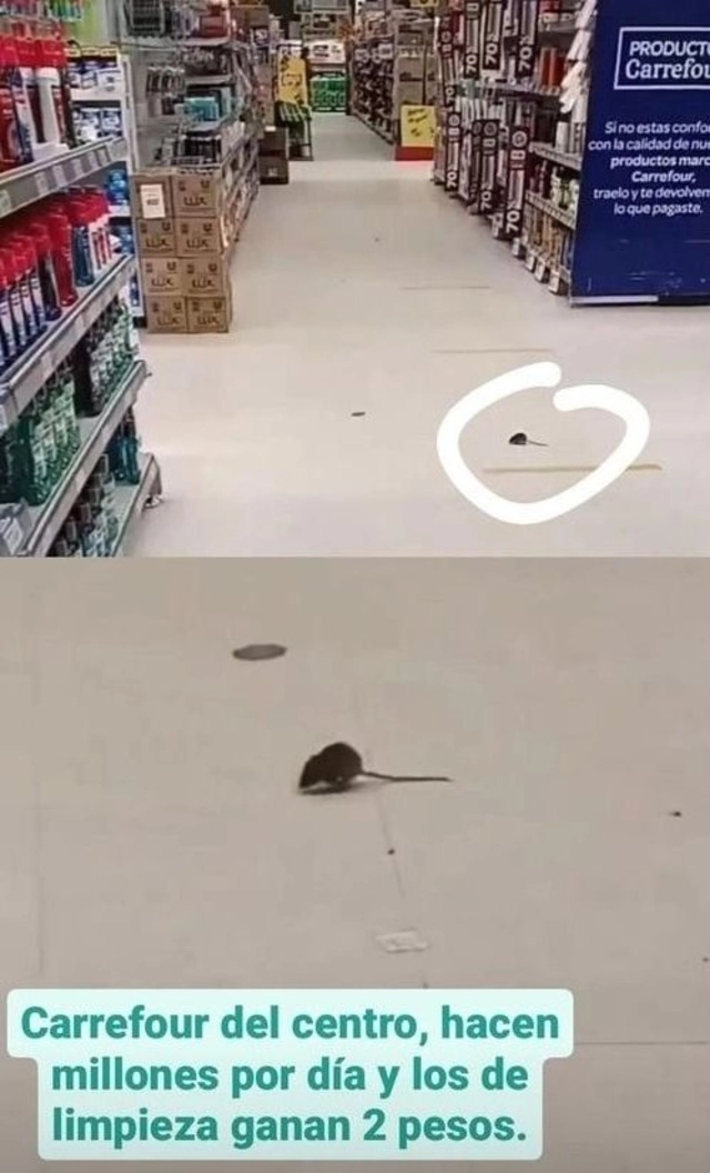 Carrefour termina con las ratas, ratones, insectos y plagas: enchufe  revolucionario