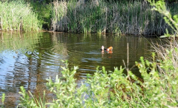 Tandil: Se ahogó un chico que nadaba en una cantera - Infoeme